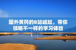 国外黄冈的B站崛起，带你领略不一样的学习体验