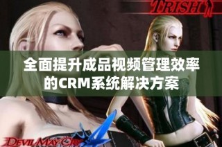 全面提升成品视频管理效率的CRM系统解决方案