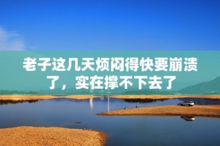 老子这几天烦闷得快要崩溃了，实在撑不下去了