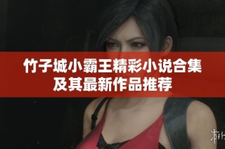 竹子城小霸王精彩小说合集及其最新作品推荐