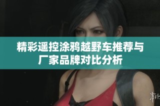 精彩遥控涂鸦越野车推荐与厂家品牌对比分析