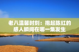 老八温馨时刻：抱起陈红的感人瞬间在哪一集发生