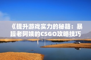 《提升游戏实力的秘籍：暴躁老阿姨的CSGO攻略技巧》