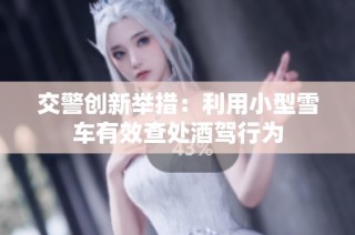 交警创新举措：利用小型雪车有效查处酒驾行为