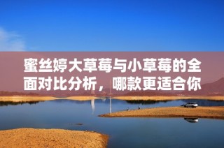 蜜丝婷大草莓与小草莓的全面对比分析，哪款更适合你