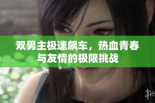 双男主极速飙车，热血青春与友情的极限挑战