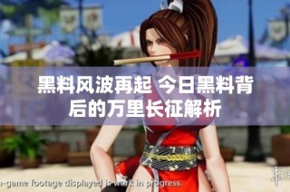 黑料风波再起 今日黑料背后的万里长征解析
