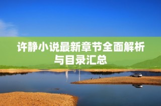 许静小说最新章节全面解析与目录汇总