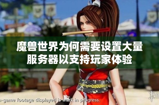 魔兽世界为何需要设置大量服务器以支持玩家体验