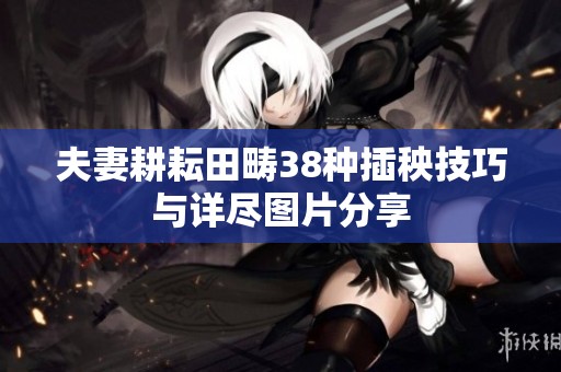 夫妻耕耘田畴38种插秧技巧与详尽图片分享