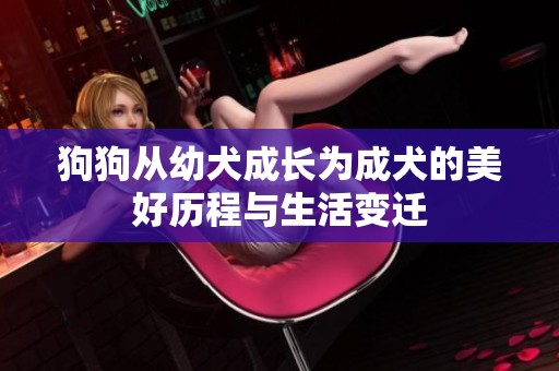 狗狗从幼犬成长为成犬的美好历程与生活变迁
