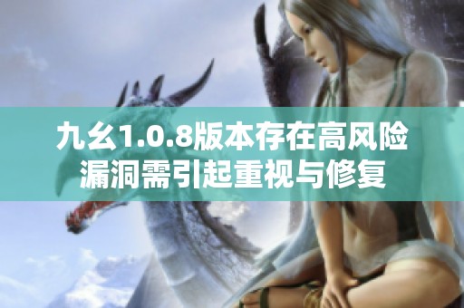 九幺1.0.8版本存在高风险漏洞需引起重视与修复
