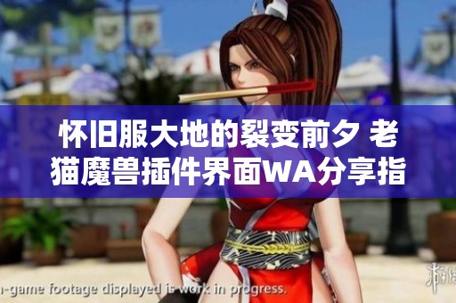怀旧服大地的裂变前夕 老猫魔兽插件界面WA分享指南