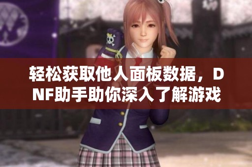 轻松获取他人面板数据，DNF助手助你深入了解游戏动态
