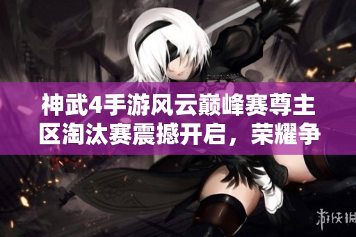 神武4手游风云巅峰赛尊主区淘汰赛震撼开启，荣耀争夺一触即发