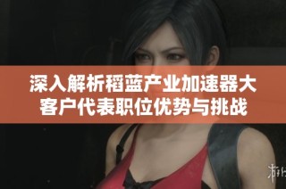 深入解析稻蓝产业加速器大客户代表职位优势与挑战