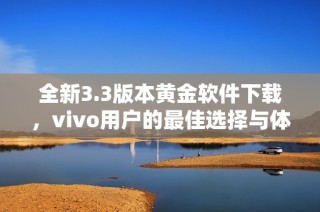 全新3.3版本黄金软件下载，vivo用户的最佳选择与体验