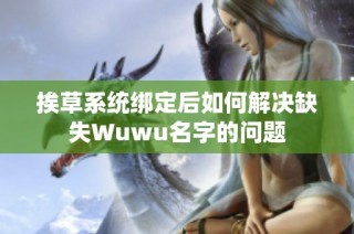 挨草系统绑定后如何解决缺失Wuwu名字的问题