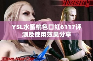 YSL水蜜桃色口红6117评测及使用效果分享