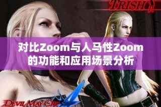 对比Zoom与人马性Zoom的功能和应用场景分析