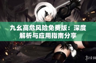 九幺高危风险免费版：深度解析与应用指南分享