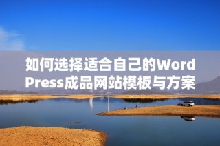 如何选择适合自己的WordPress成品网站模板与方案