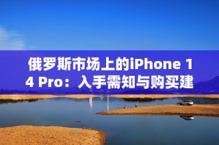 俄罗斯市场上的iPhone 14 Pro：入手需知与购买建议