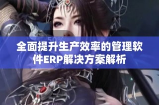 全面提升生产效率的管理软件ERP解决方案解析