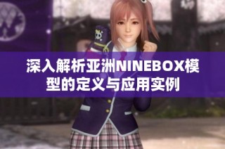 深入解析亚洲NINEBOX模型的定义与应用实例