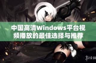 中国高清Windows平台视频播放的最佳选择与推荐