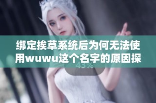 绑定挨草系统后为何无法使用wuwu这个名字的原因探讨