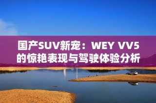 国产SUV新宠：WEY VV5的惊艳表现与驾驶体验分析