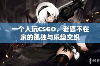 一个人玩CSGO，老婆不在家的孤独与乐趣交织