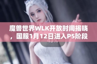 魔兽世界WLK开放时间揭晓，国服1月12日进入P5阶段