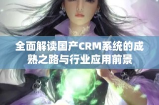 全面解读国产CRM系统的成熟之路与行业应用前景