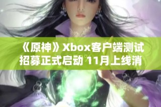 《原神》Xbox客户端测试招募正式启动 11月上线消息曝光