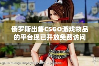 俄罗斯出售CSGO游戏物品的平台现已开放免费访问