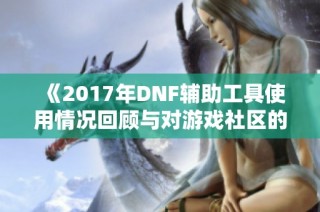《2017年DNF辅助工具使用情况回顾与对游戏社区的影响》
