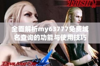 全面解析my63777免费域名查询的功能与使用技巧