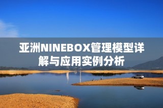 亚洲NINEBOX管理模型详解与应用实例分析