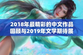 2018年最精彩的中文作品回顾与2019年文学期待展望