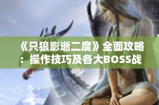 《只狼影逝二度》全面攻略：操作技巧及各大BOSS战术解析