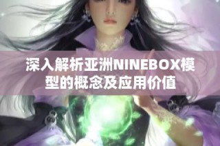 深入解析亚洲NINEBOX模型的概念及应用价值