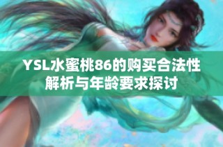 YSL水蜜桃86的购买合法性解析与年龄要求探讨