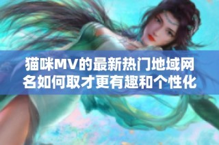 猫咪MV的最新热门地域网名如何取才更有趣和个性化