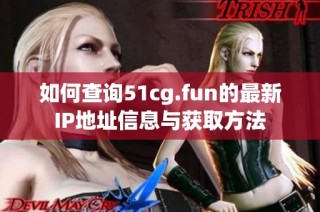 如何查询51cg.fun的最新IP地址信息与获取方法