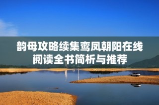 韵母攻略续集鸾凤朝阳在线阅读全书简析与推荐