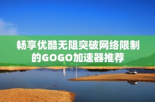 畅享优酷无阻突破网络限制的GOGO加速器推荐