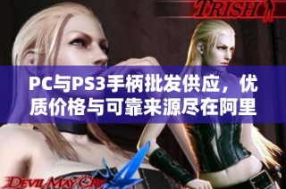 PC与PS3手柄批发供应，优质价格与可靠来源尽在阿里巴巴