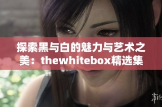 探索黑与白的魅力与艺术之美：thewhitebox精选集锦